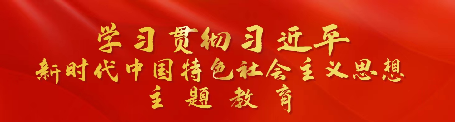 学习贯彻习近平新时代中国特色社会主义思想主题教育